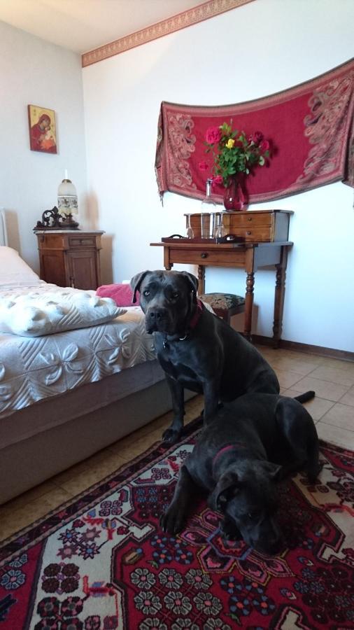 B&B Da Paolo Con Vista Lago Di Garda San Zeno di Montagna Bagian luar foto